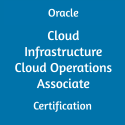 Oracle Cloud Infrastructure, Oracle Cloud Infrastructure 2021 Mock Test, 1Z0-1067-21, Oracle 1Z0-1067-21 Questions and Answers, Oracle Cloud Infrastructure 2021 Certified Cloud Operations Associate (OCA), 1Z0-1067-21 Study Guide, 1Z0-1067-21 Practice Test, Oracle Cloud Infrastructure Cloud Operations Associate Certification Questions, 1Z0-1067-21 Sample Questions, 1Z0-1067-21 Simulator, Oracle Cloud Infrastructure Cloud Operations Associate Online Exam, Oracle Cloud Infrastructure 2021 Cloud Operations Associate, 1Z0-1067-21 Certification, Cloud Infrastructure Cloud Operations Associate Exam Questions, Cloud Infrastructure Cloud Operations Associate, 1Z0-1067-21 Study Guide PDF, 1Z0-1067-21 Online Practice Test